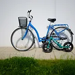 룸스 암브로지체